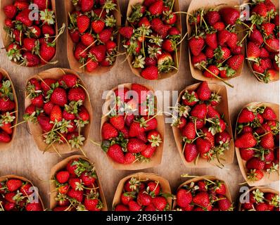 Pappschalen mit wilden Erdbeeren auf einem Bio-Markt Stockfoto