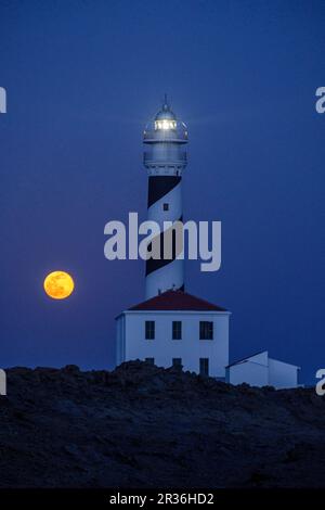 Cap de Favàritx, Naturpark S'Albufera des Grau, Menorca, Balearen, Spanien. Stockfoto