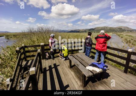 Torre de observacion, canal des Sol, S'Albufera de Mallorca, Mallorca, Balearen, Spanien. Stockfoto