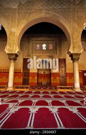 Oratorio de la madrasa Bou Inania (S. XIV). Fes. Marruecos. Magreb. Afrika. Stockfoto