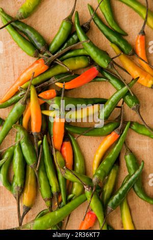 Thailändisches Chillis auf einem Schneidebrett Stockfoto