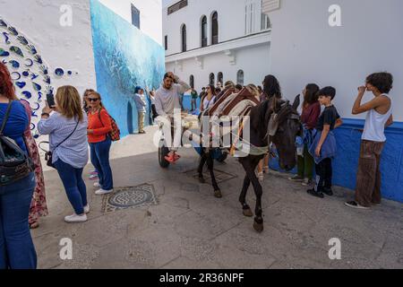 Pferdekutsche unter Touristen, Asilah, marokko, afrika. Stockfoto