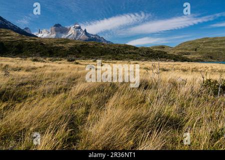 cuernos del Paine, 2600 Metrostationen, Trekking W, Parque nacional Torres del Paine, Sistema Nacional de Áreas Silvestres Protegidas del Estado de Chile. Patagonia, República de Chile, América del Sur. Stockfoto