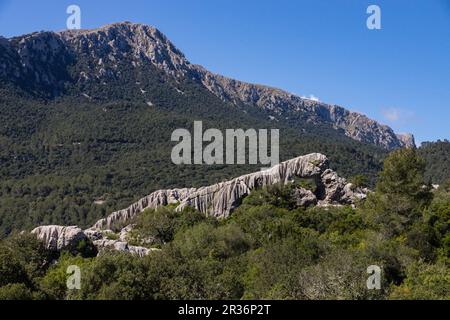 Puig de ses Monges, lapiaz, Lluc, Sierra de Tramuntana, Mallorca, Balearen, Spanien, Europa. Stockfoto