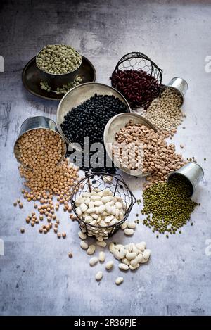 Verschiedene Arten von Bohnen in Behältern Stockfoto