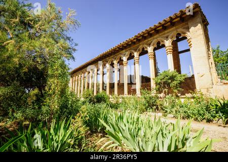 Arcos góticos Del Siglo XIII provenientes del Antiguo Convento de Santa Margalida de Palma. Monasterio de Miramar, fundado En 1276. Valldemossa. Sierra de Tramuntana. Mallorca. Islas Baleares. España. Stockfoto