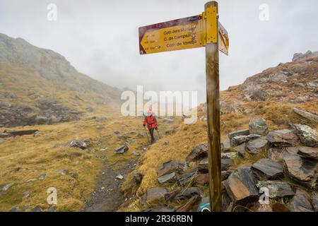 Collado De La Escaleta, Artiga de Lin, Valle de Aran, Cordillera de Los Pirineos, Lleida, Katalonien, Spanien, Europa. Stockfoto