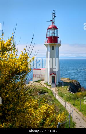 Sheringham Point Lighthouse Vancouver Island Scotch Besen. Sheringham Point Leuchtturm auf Vancouver Island mit Blick auf die Straße von Juan de Fuca. Stockfoto