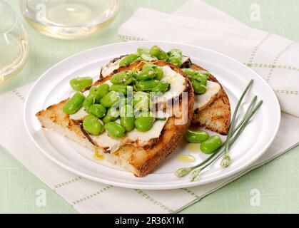 Crostini mit geräuchertem Ricotta und breiten Bohnen Stockfoto