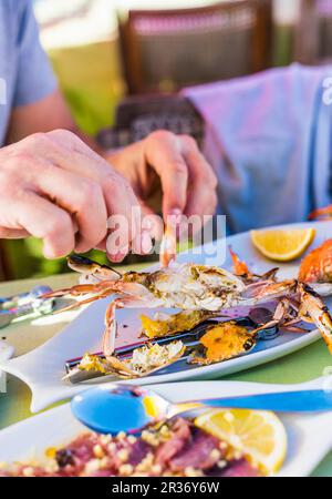 Eine Person, die ihre Hände benutzt, um Krabben zu essen Stockfoto