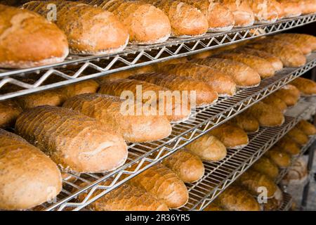 In einer Bäckerei werden in den Regalen Laibe Weißbrot mit Mohnsamen bestreut Stockfoto