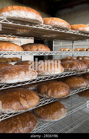 Gemischte Brotlaibe auf Metallregalen in einer Bäckerei Stockfoto