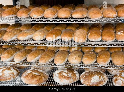 In einer Bäckerei werden in den Regalen Laibe Weißbrot mit Mohnsamen bestreut Stockfoto