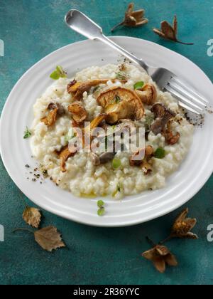 Risotto mit Waldpilzen Stockfoto