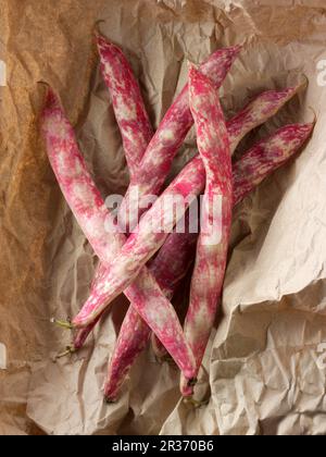 Frisch gepflückte Borlotti-Bohnen auf Papier Stockfoto