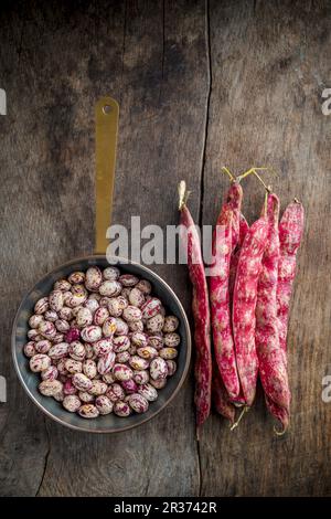 Geschält und ganze Borlotti-Bohnen auf Holzbrett Stockfoto