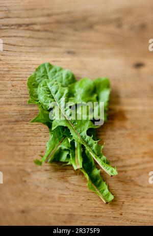 Löwenzahnblätter auf Holzhintergrund Stockfoto