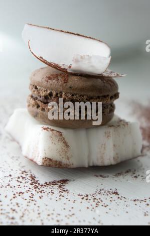 Eine Schokoladenmakarone zwischen zwei Kokosnussstücken Stockfoto