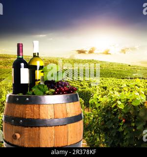 Flaschen Wein Stockfoto