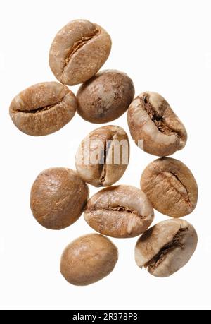 Robusta Kaffeebohnen, Uganda Stockfoto