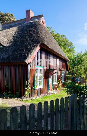 Reetgedeckte Holzhaus in Born Stockfoto