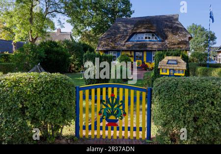 Reetgedeckten Haus in Born Stockfoto