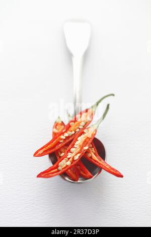 Frisch geschnittene rote Paprika auf einem silbernen Löffel, der mit einem weißen Hintergrund und Platz für Text Stockfoto