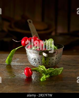Radieschen in und vor einer alten Küche Sieb Stockfoto