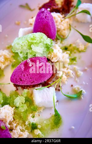 Verschiedene Geschmacksrichtungen von mit Kräutern garnierter Eiscreme Stockfoto