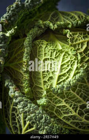 Wirsing (Nahaufnahme) Stockfoto