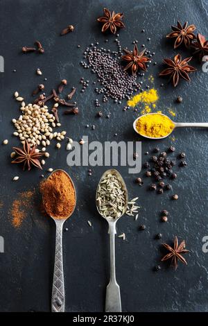 Verschiedene Gewürze auf einer Schieferplatte: Paprika, Kreuzkümmel, Sternanis, Koriandersamen, Kurkuma, Pfeffer, Nelken und Senfkörner Stockfoto