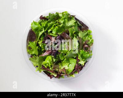 Frische gemischte Salatblätter in einer Kunststoffschüssel vor weißem Hintergrund (von oben gesehen) Stockfoto