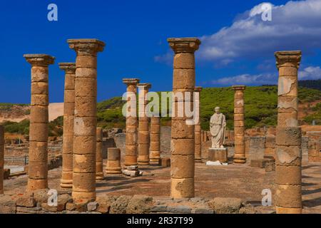 Bolonia, Baelo Claudia, archäologische Stätte, alte römische Stadt, Naturpark Straße von Gibraltar, Costa de la Luz, Cadiz, Andalusien, Spanien Stockfoto