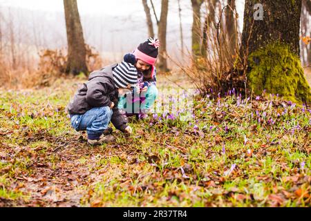 Kinder bewundern Der Frühling Blumen Stockfoto