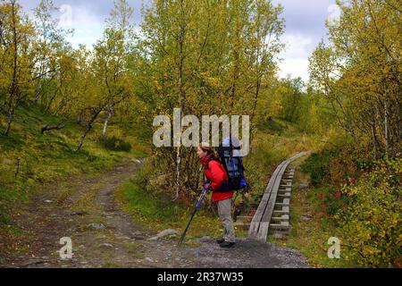 Trekking Nikkaluokta, Kebnekaise Fjaellstation, Lappland, Sweden2 Stockfoto