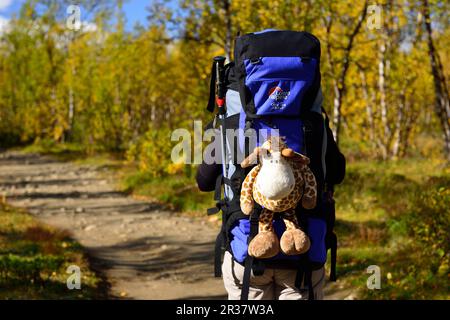 Trekking Nikkaluokta, Kebnekaise Fjaellstation, Lappland, Sweden2 Stockfoto