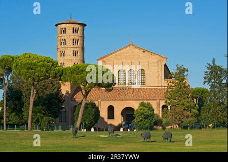 Basilika di Sant'Apollinare in Classe, UNESCO-Weltkulturerbe, Ravenna, Emilia Romagna, Italien Stockfoto