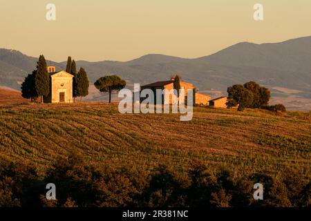 Europa, Toskana, Val d'Orcia, September 2013, UNESCO, Italien Stockfoto