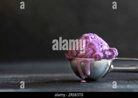 Eine Kugel Heidelbeere Eis in einem Eisportionierer Stockfoto