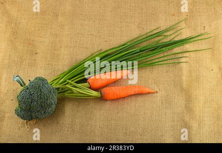 Im Sommer hausgemachtes Gemüse und Gemüse auf Leinwand Stockfoto