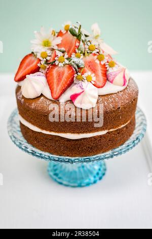 Veganer Vanillekuchen Stockfoto