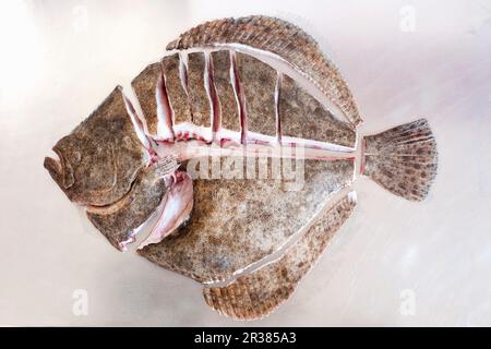 Steinbutt in Scheiben, bereit zum Grillen Stockfoto