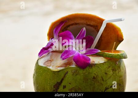 Frische Kokosnuss Milch Saft mit Blumen dekoriert Stockfoto