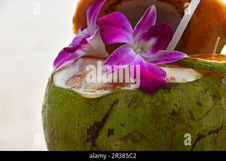 Frische Kokosnuss Milch Saft mit Blumen dekoriert Stockfoto