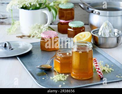 Holunderbeergelee in Gläsern Stockfoto