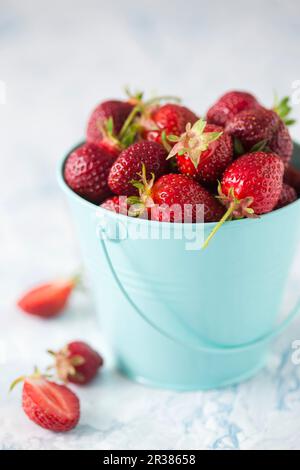 Frische Erdbeeren in einem kleinen Metalleimer Stockfoto