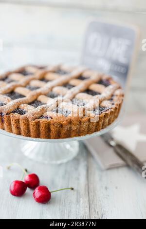 Linzer-Kuchen mit Puderzucker Stockfoto