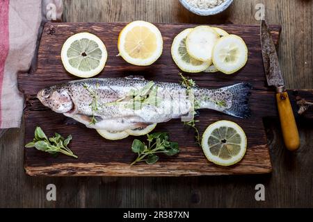 Lachs gefüllt mit Zitrone und Kräutern, fertig zum Braten Stockfoto