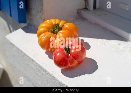 Zwei Tomaten auf einem Fensterbrett Stockfoto