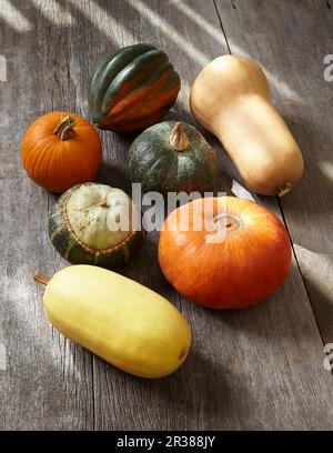 Verschiedene Kürbisse auf einer Holzfläche Stockfoto